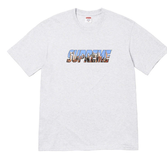 Supreme Gotham Tee Ash Grey