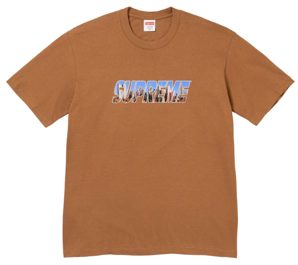 Supreme Gotham Tee Light Brown