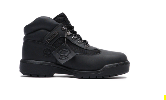 Timberland Men's Waterproof Field Boot Black